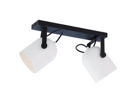 Фото спот TK Lighting 3489 Spectra black/white, купить с доставкой на skylight.com.ua