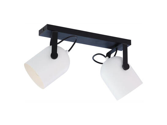 Фото спот TK Lighting 3489 Spectra black/white, купить с доставкой на skylight.com.ua