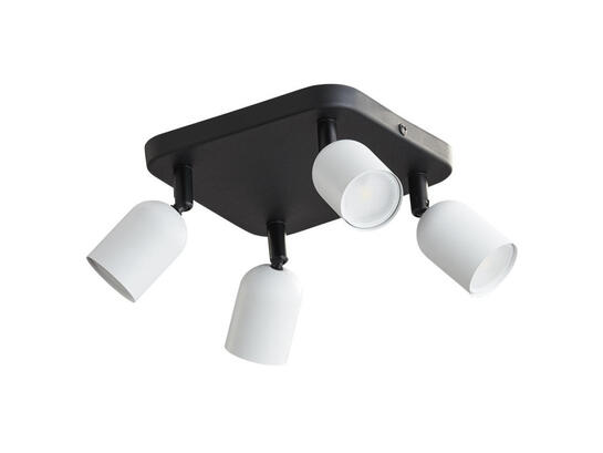 Фото спот TK Lighting 6269 Top черно-белый, купить с доставкой на skylight.com.ua